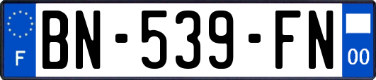 BN-539-FN