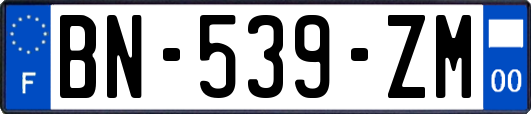 BN-539-ZM