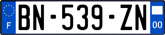 BN-539-ZN