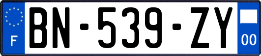 BN-539-ZY