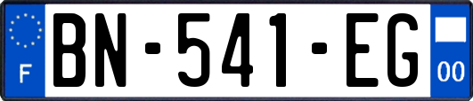 BN-541-EG
