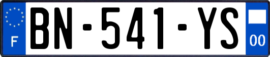 BN-541-YS
