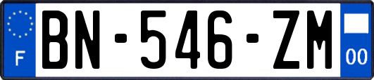 BN-546-ZM