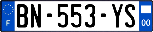 BN-553-YS
