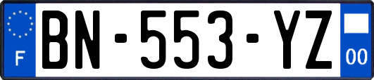 BN-553-YZ