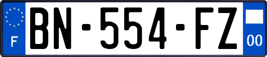 BN-554-FZ