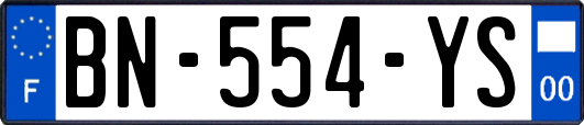 BN-554-YS