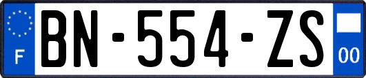 BN-554-ZS