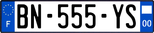 BN-555-YS