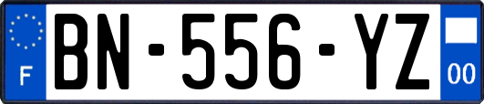 BN-556-YZ
