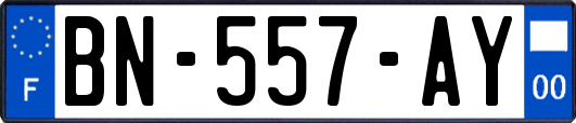 BN-557-AY