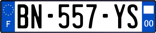 BN-557-YS