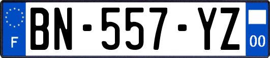BN-557-YZ