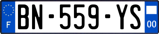 BN-559-YS