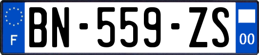 BN-559-ZS