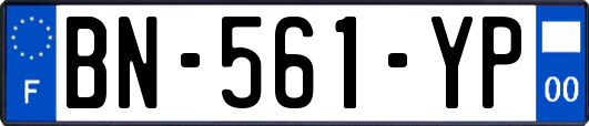 BN-561-YP