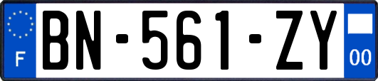 BN-561-ZY