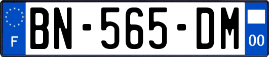 BN-565-DM