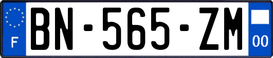 BN-565-ZM