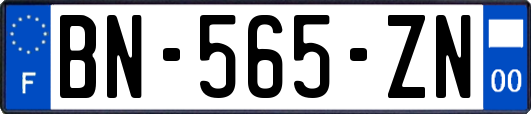 BN-565-ZN