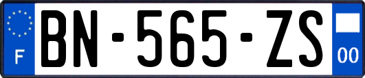 BN-565-ZS