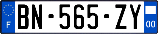 BN-565-ZY