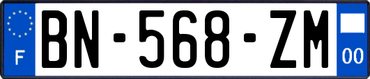 BN-568-ZM