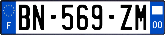 BN-569-ZM