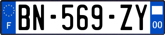 BN-569-ZY