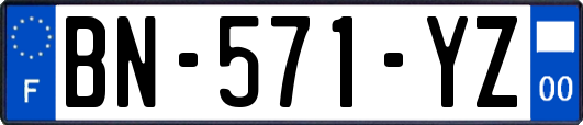 BN-571-YZ