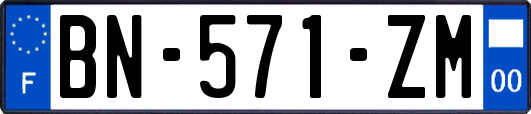 BN-571-ZM