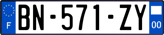 BN-571-ZY