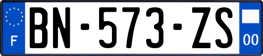 BN-573-ZS