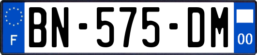 BN-575-DM
