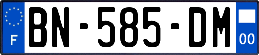 BN-585-DM