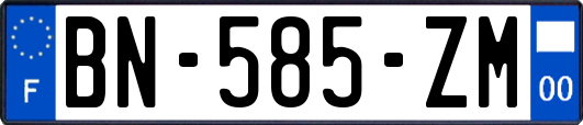 BN-585-ZM