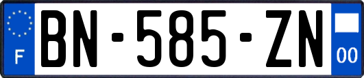 BN-585-ZN