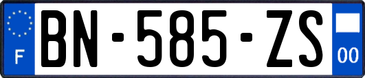 BN-585-ZS