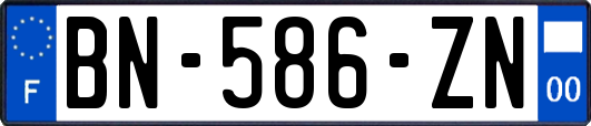 BN-586-ZN