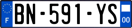 BN-591-YS