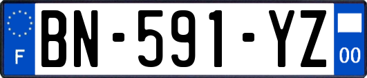 BN-591-YZ