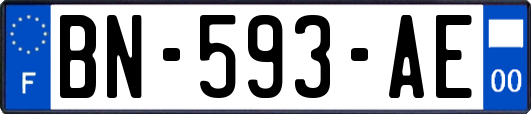 BN-593-AE