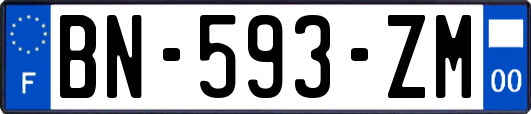 BN-593-ZM