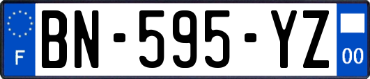 BN-595-YZ