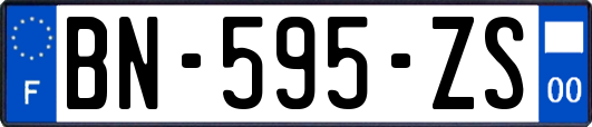 BN-595-ZS