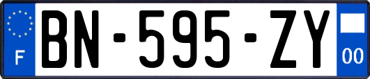 BN-595-ZY