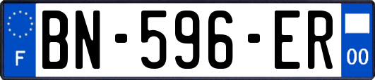 BN-596-ER