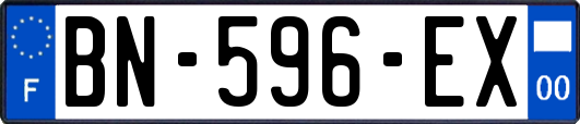 BN-596-EX