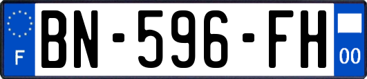 BN-596-FH