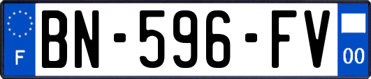 BN-596-FV